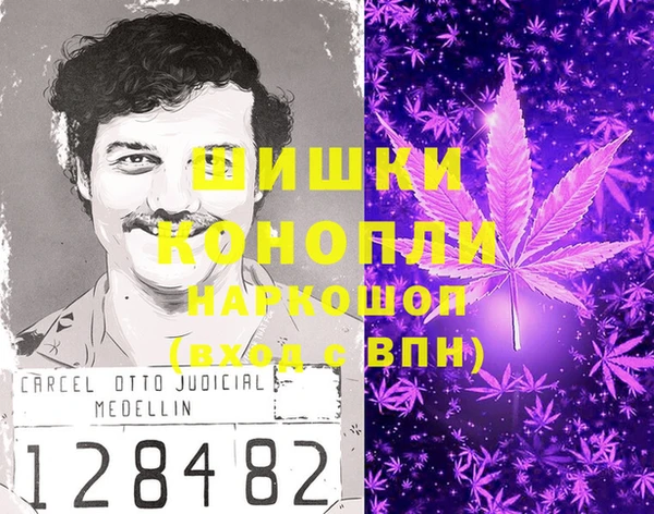 ГАЛЛЮЦИНОГЕННЫЕ ГРИБЫ Бородино