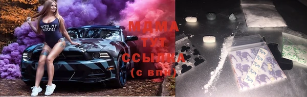 ГАЛЛЮЦИНОГЕННЫЕ ГРИБЫ Бородино
