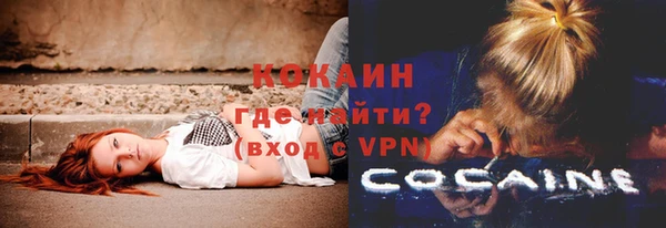 ГАЛЛЮЦИНОГЕННЫЕ ГРИБЫ Бородино