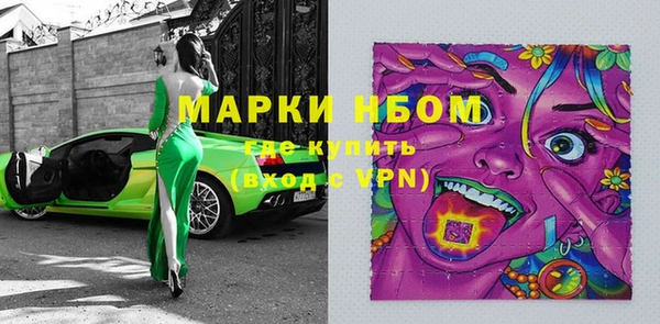 ГАЛЛЮЦИНОГЕННЫЕ ГРИБЫ Бородино