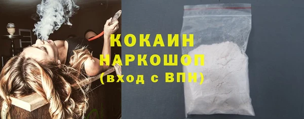 ГАЛЛЮЦИНОГЕННЫЕ ГРИБЫ Бородино