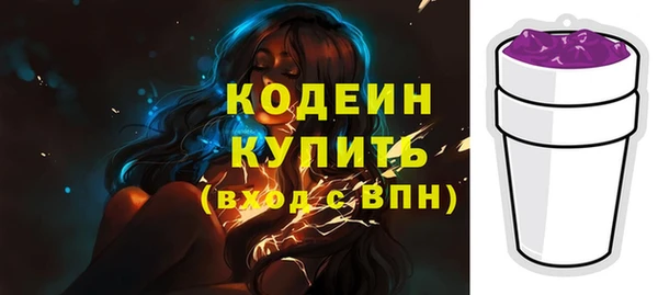 ГАЛЛЮЦИНОГЕННЫЕ ГРИБЫ Бородино