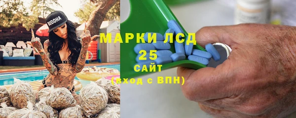 ГАЛЛЮЦИНОГЕННЫЕ ГРИБЫ Бородино