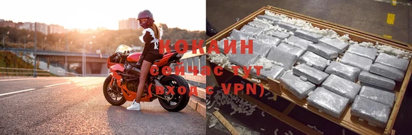 ГАЛЛЮЦИНОГЕННЫЕ ГРИБЫ Бородино