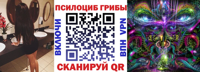 Галлюциногенные грибы Cubensis  площадка клад  Серафимович  купить  